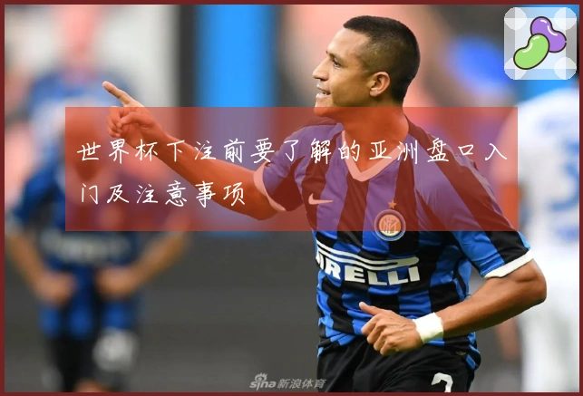 世界杯下注前要了解的亚洲盘口入门及注意事项