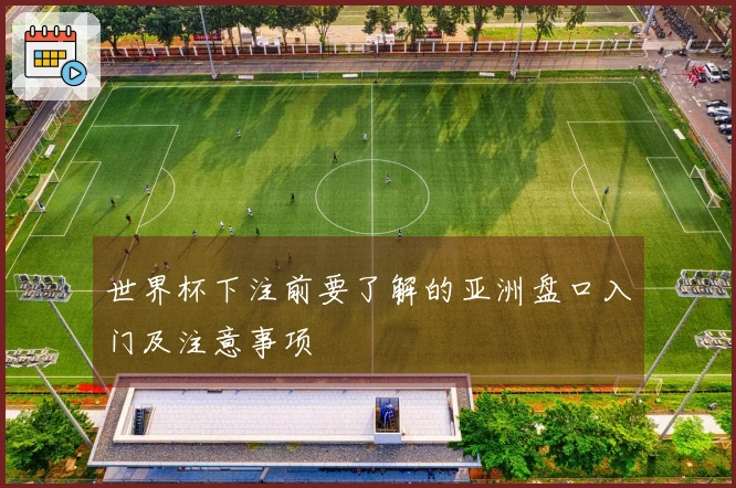 世界杯下注前要了解的亚洲盘口入门及注意事项