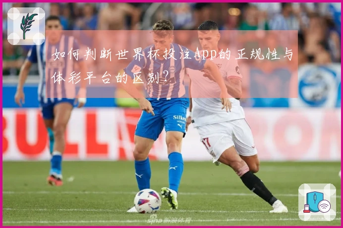 如何判断世界杯投注App的正规性与体彩平台的区别？