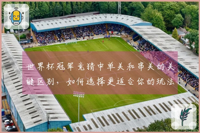 世界杯冠军竞猜中单关和串关的关键区别，如何选择更适合你的玩法